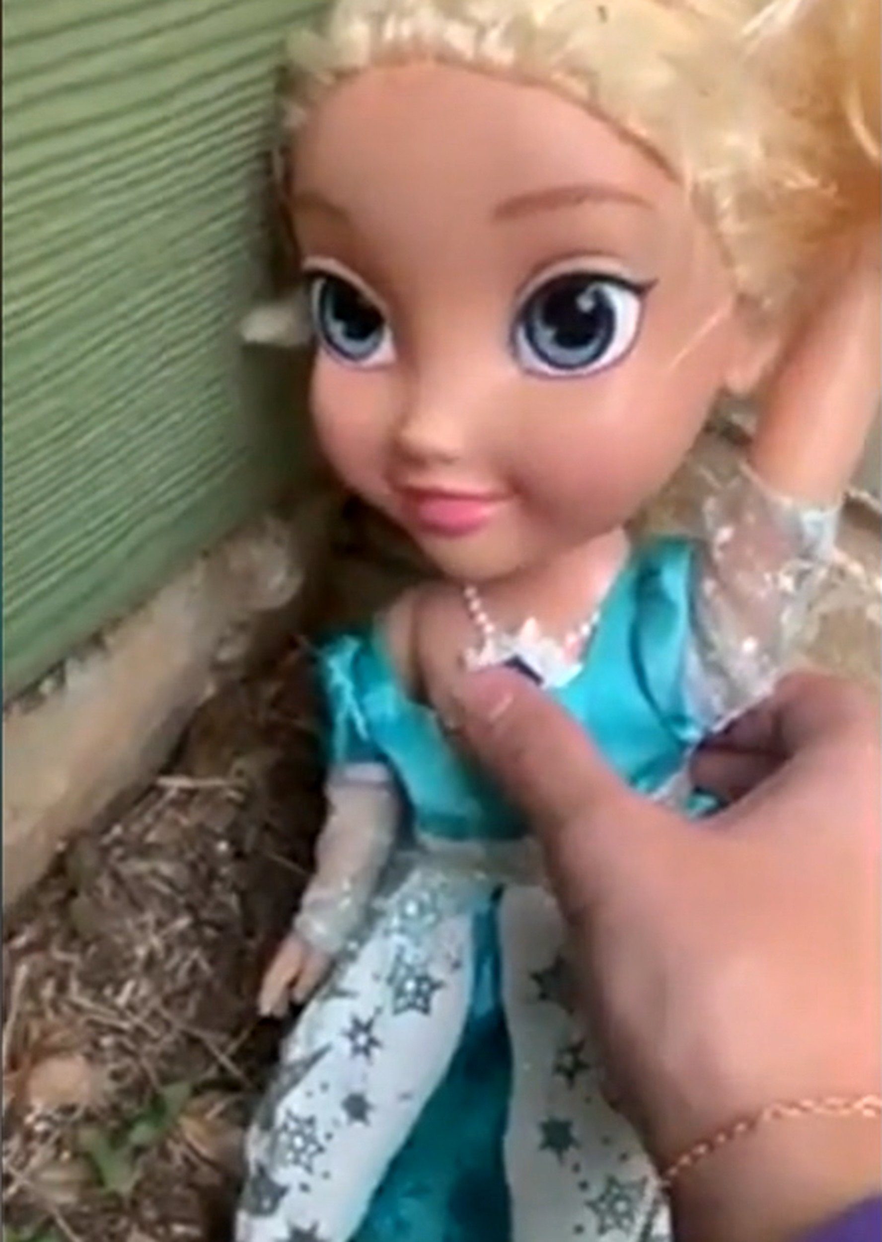 Elsa Doll Haunted