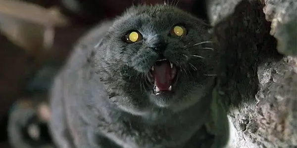 Pet Sematary