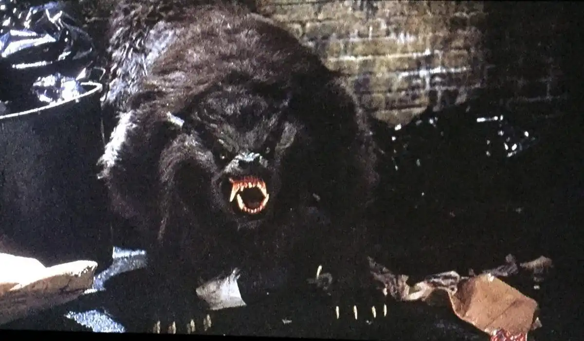 Howling at the Moon: Why An American Werewolf in London Tops the Pack